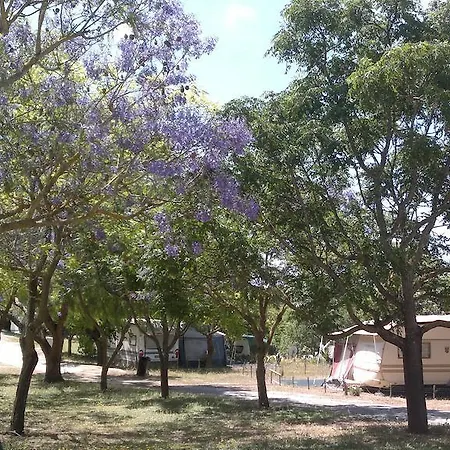 Campsite Camping Canelas Silves