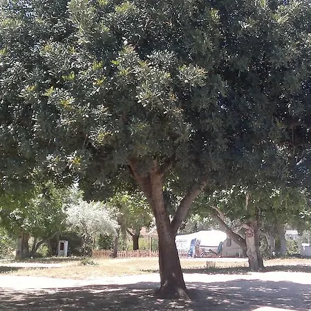 Camping Canelas Campingplatz *